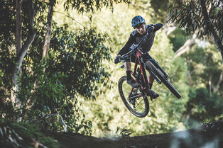 Lyne Components - Bottle cage