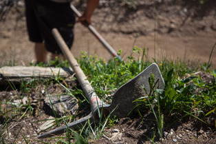 Bonnes f&ecirc;tes !&nbsp;