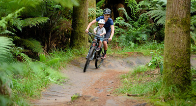 Shotgun - Kids MTB Seat