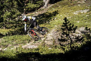 RACER - Top Motion 2