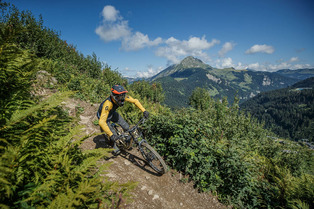 Ch&acirc;tel - Test priv&eacute; Exp&eacute;rience