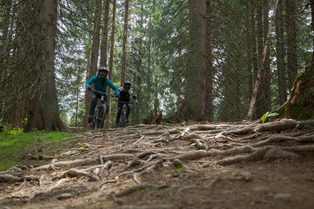 In Berthoud we trust