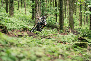 Singletracks Bikepark -   Ou comment rouler toute l'ann&eacute;e sans p&eacute;daler !