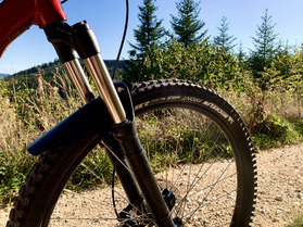 Pimp my bike : Am&eacute;liorer la soupe avec un peu de persil et de cumin