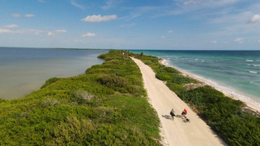 On parle 7&egrave;me Art et grosses roues