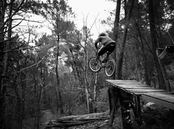 Freeride like old time