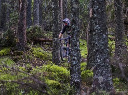 Bastian Huber - Kläpen - Suède