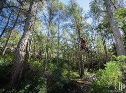 Table Top in the trees