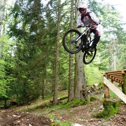 Photo pr&eacute;c&eacute;dente