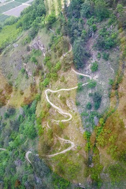 snake trail