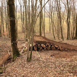 Photo pr&eacute;c&eacute;dente