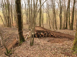 11072137 10206205841495209 1681793182 n