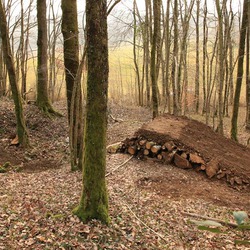 Photo pr&eacute;c&eacute;dente