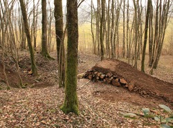 11074256 10206205834055023 588909537 n