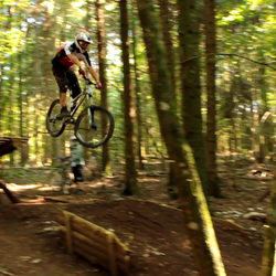 Photo pr&eacute;c&eacute;dente