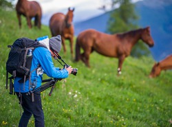 D3S 8821   lr BorderMaker