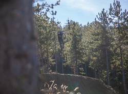 Evo Bike Park - Shooting avec Remy Métailler