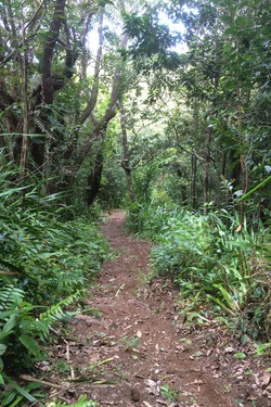 ile de la REUNION