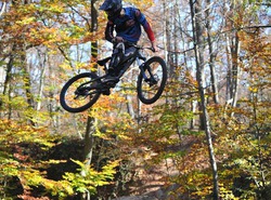 faut tirer les whips chez nous 