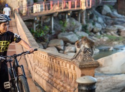 Monkey and Bike