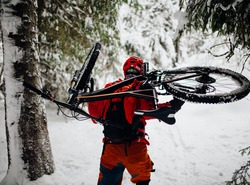 Vélo sur neige: Plein de sapins remplis de neige