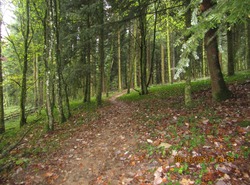 Bike Park Auxon : Piste Verte Bis