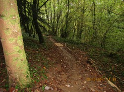 Bike Park Auxon : Piste Verte Bis