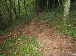 Bike Park Auxon : Piste Verte Bis