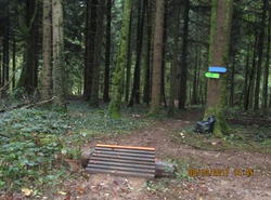 Bike Park Auxon : Piste verte N°1