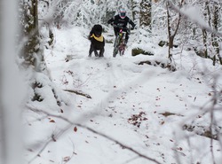 Winter dog trail