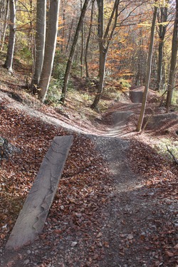 Serlin Trail
