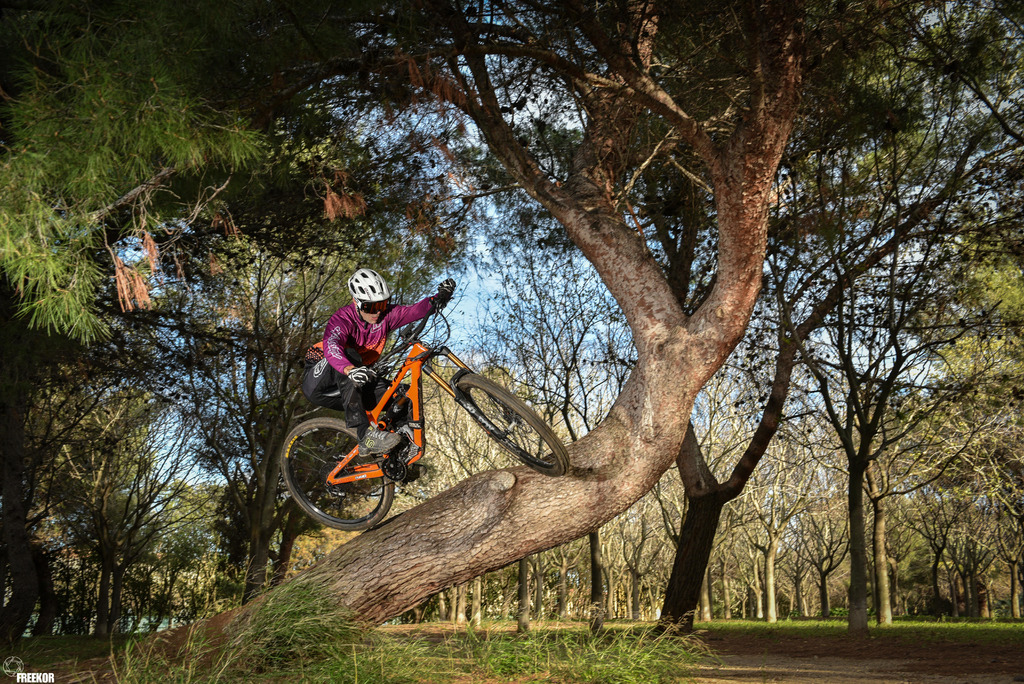 Tree Jumping Photo par freekor